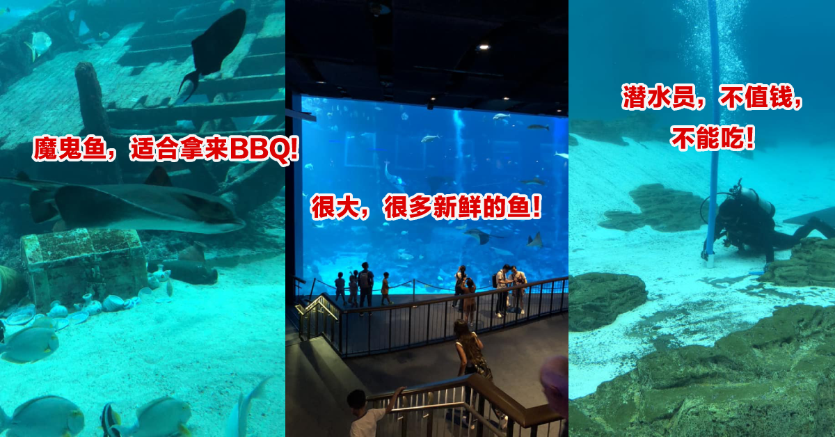 卖鱼Abang去参观水族馆，惨变「海鲜馆」！现场解说鱼的售价与口感火爆全网！