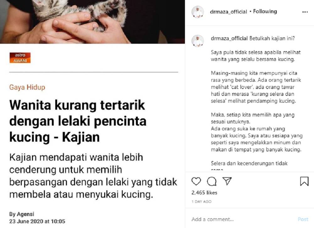 Nabi sayang semua haiwan! Kisah fasal kucing Nabi tak benar 