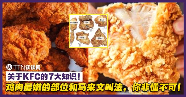 关于kfc的7大知识 鸡肉最嫩的部位和马来文叫法 你非懂不可 Ttn 谈谈网