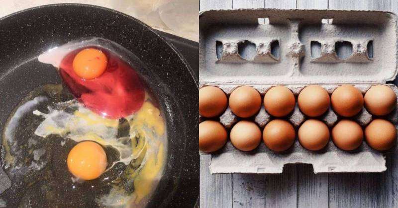蛋清变红色！妇女煎蛋敲出「血淋淋的鸡蛋」！为你揭开原因，千万别吃下肚！