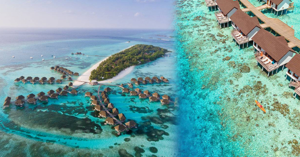 到马尔代夫度假必做的6件事，与鲨鱼共游最刺激！必到可看到日落的绝美酒吧！