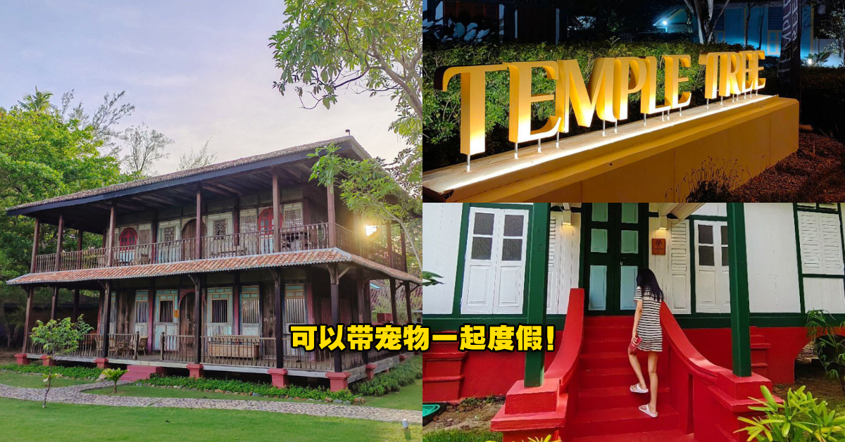 Langkawi隐藏版住宿Temple Tree Resort！传统式别墅、环境清幽、宠物友善、距离机场仅10分钟！