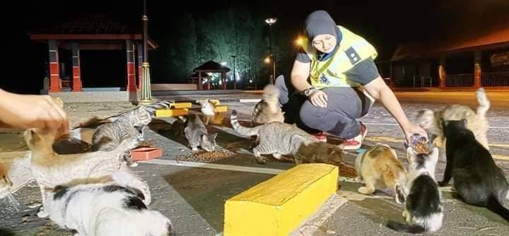 TIADA BUKTI KUCING, ANJING SEBAR COVID-19  Cerita Komuniti oleh 